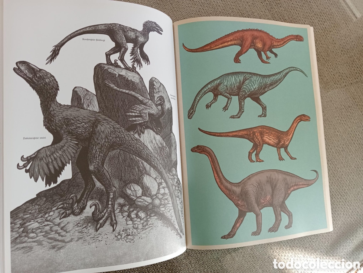 Libros: Dinosaurium. Poster book. 28 pull out posters inside. - Foto 3