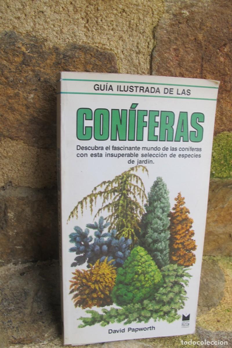 Livros em segunda m&atilde;o: GUIA ILUSTRADA DE CONIFERAS. DAVID PAPWORTH