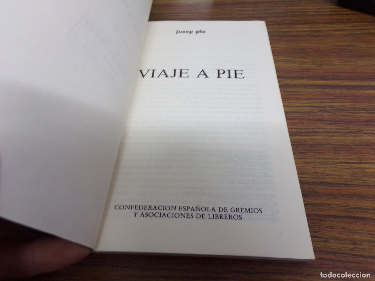 Libros: ESTAMOS LIQUIDANDO. Viaje a pie.- Pla Josep - Foto 2