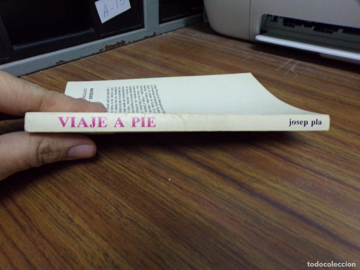 Libros: ESTAMOS LIQUIDANDO. Viaje a pie.- Pla Josep - Foto 5