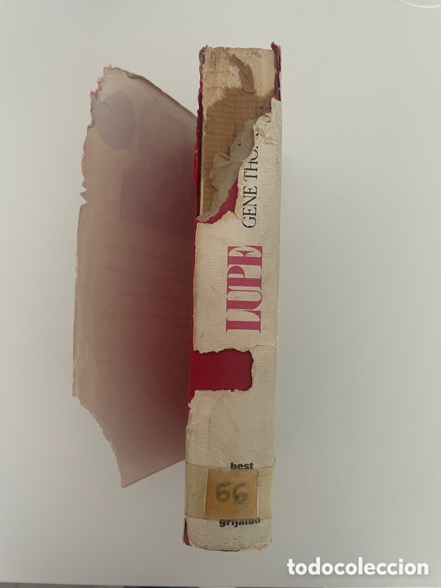 Libros: Libro LUPE - Gene Thompson - Foto 2