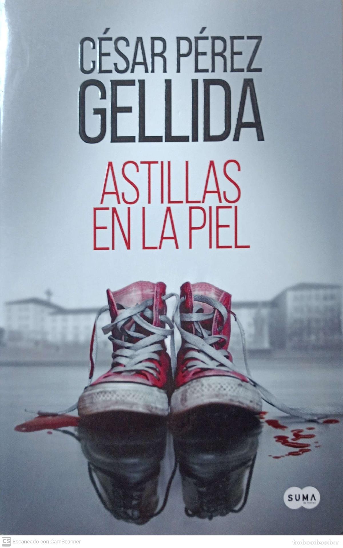 Libros: Astillas en la piel - C&eacute;sar P&eacute;rez Gellida - Foto 1