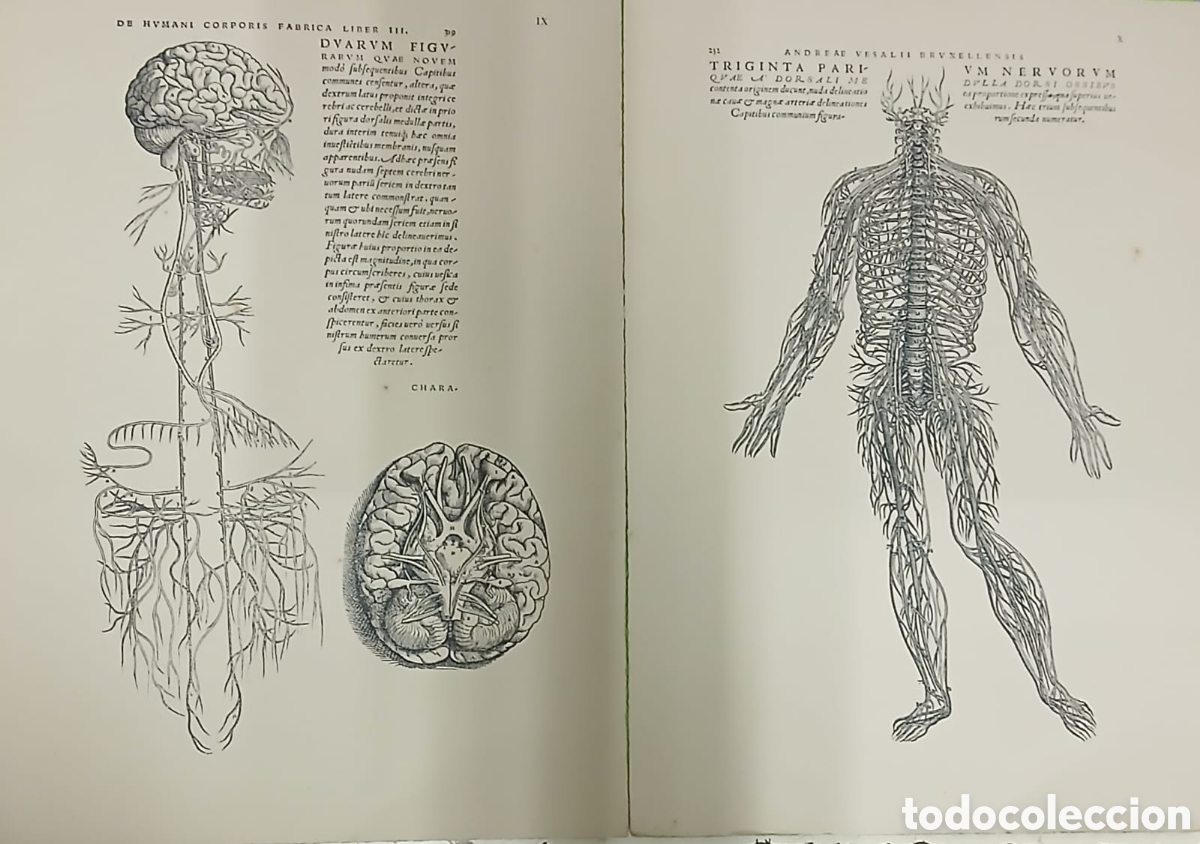 Libros: Selectio Tabularum XII - Foto 2