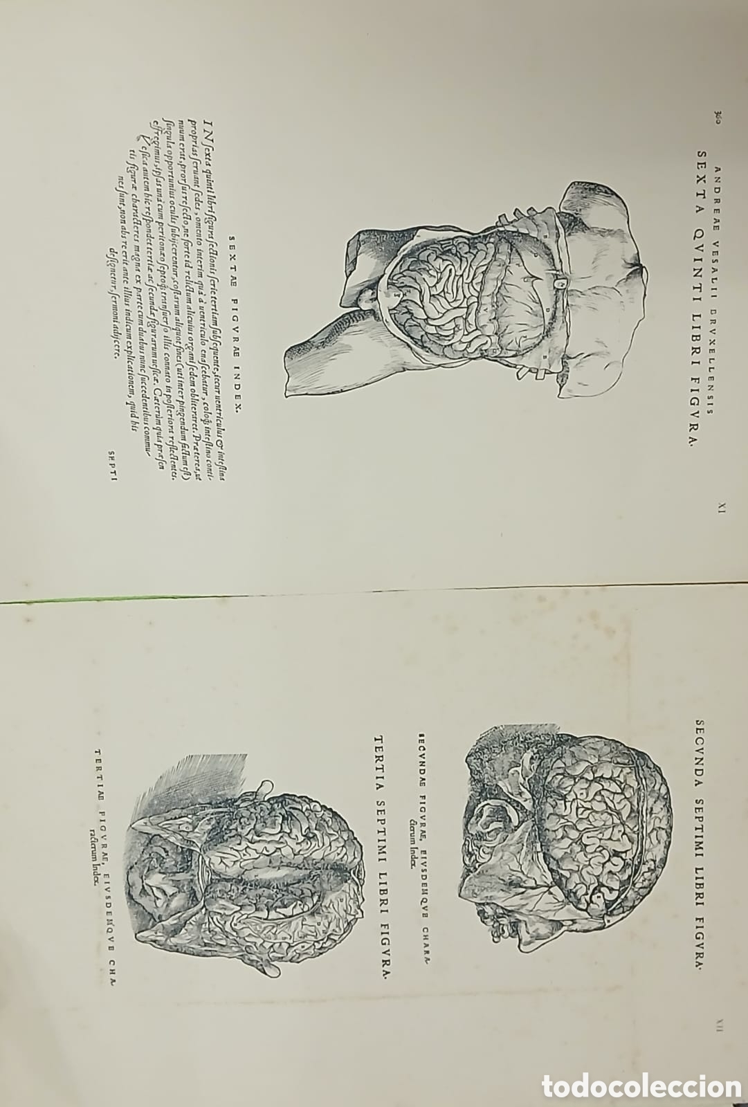 Libros: Selectio Tabularum XII - Foto 3