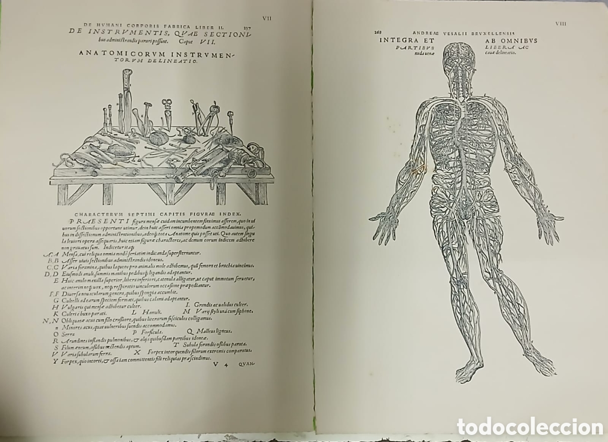 Libros: Selectio Tabularum XII - Foto 4