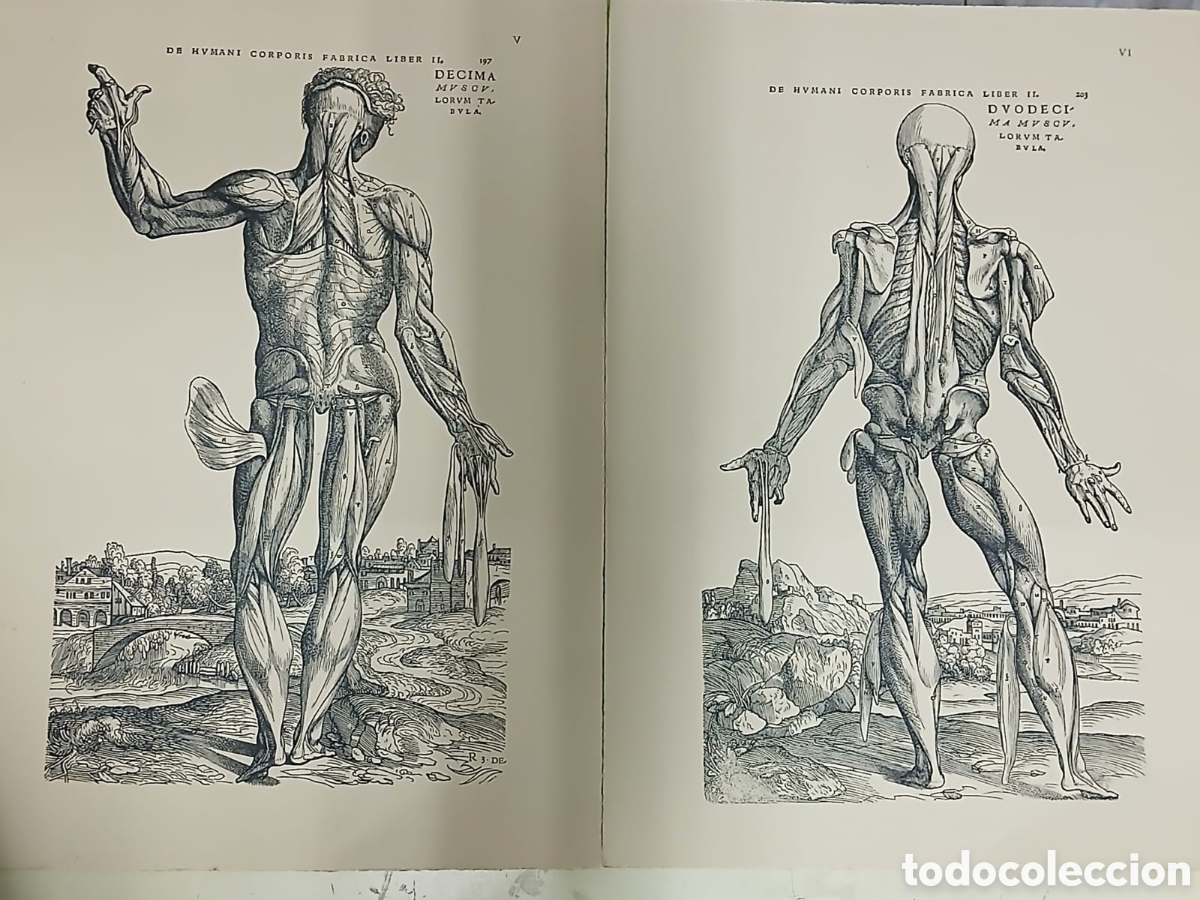 Libros: Selectio Tabularum XII - Foto 5