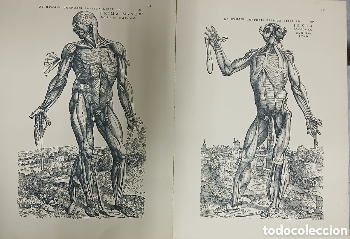 Libros: Selectio Tabularum XII - Foto 6