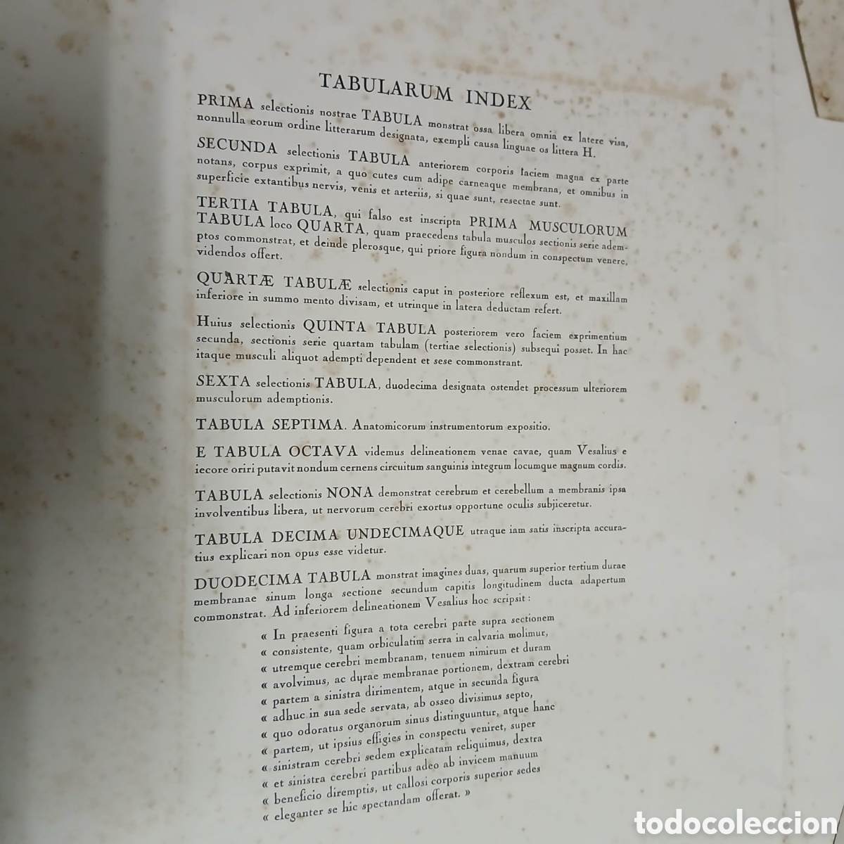 Libros: Selectio Tabularum XII - Foto 7