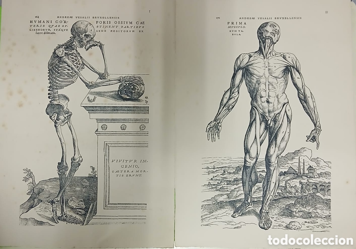Libros: Selectio Tabularum XII - Foto 1