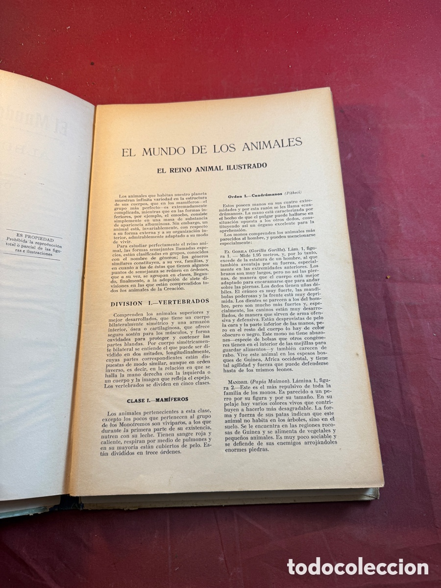 Libros: EL MUNDO DE LOS ANIMALES - Foto 3