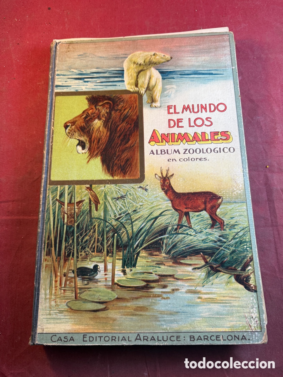 Libros: EL MUNDO DE LOS ANIMALES - Foto 1