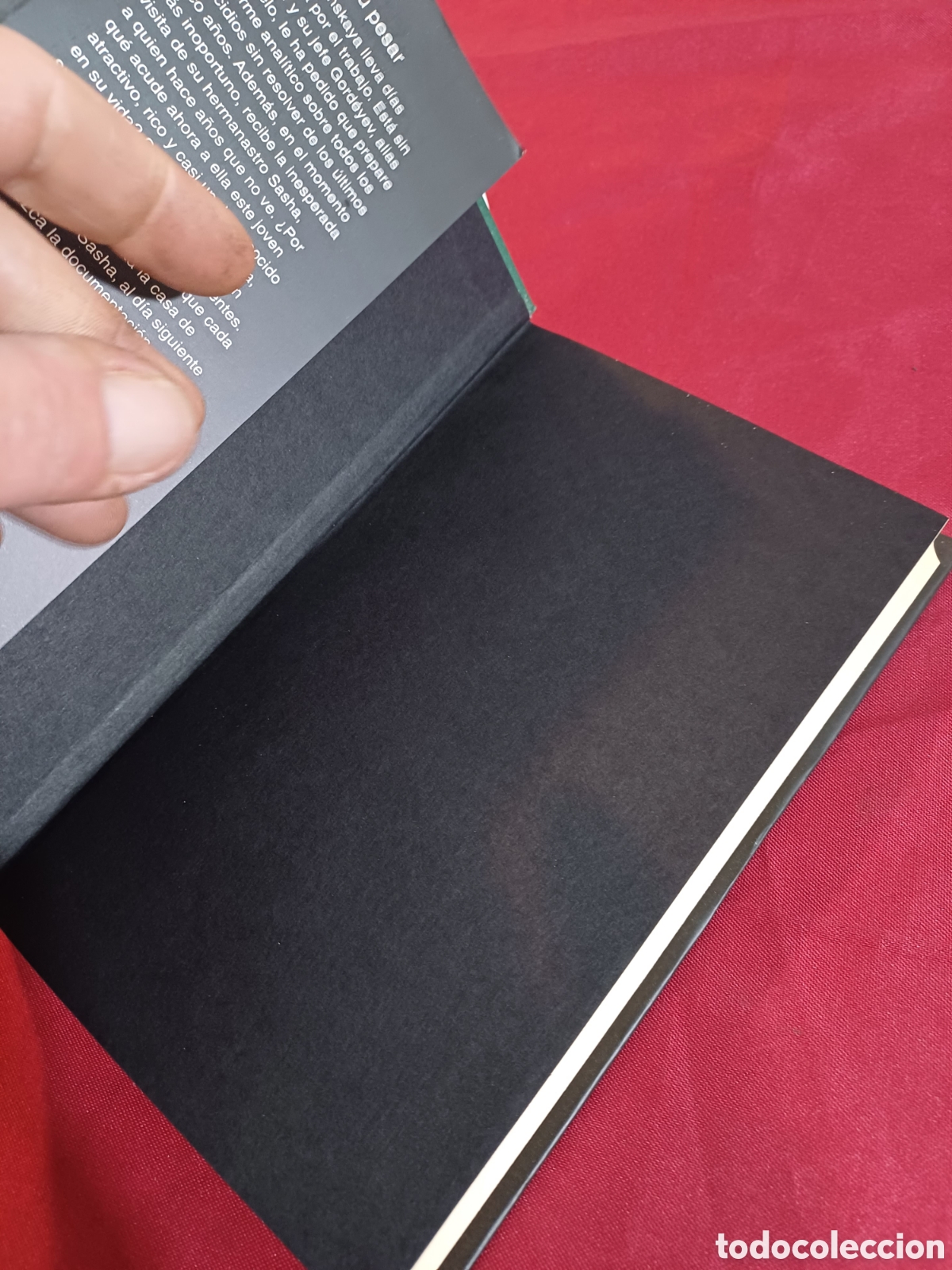 Libros: LIBRO, ASESINO A SU PESAR, ALEXANDRA MARININA, - Foto 5