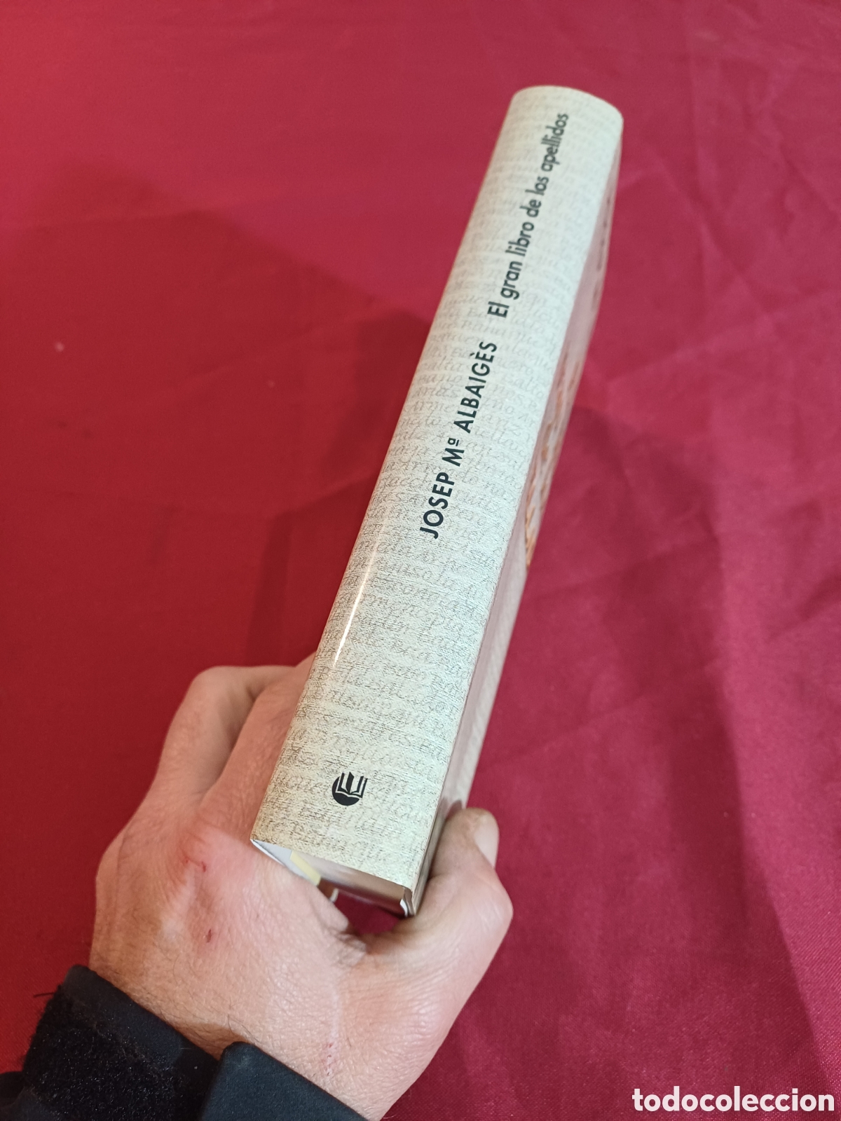 Libros: EL GRAN LIBRO DE LOS APELLIDOS, 1999 - Foto 2