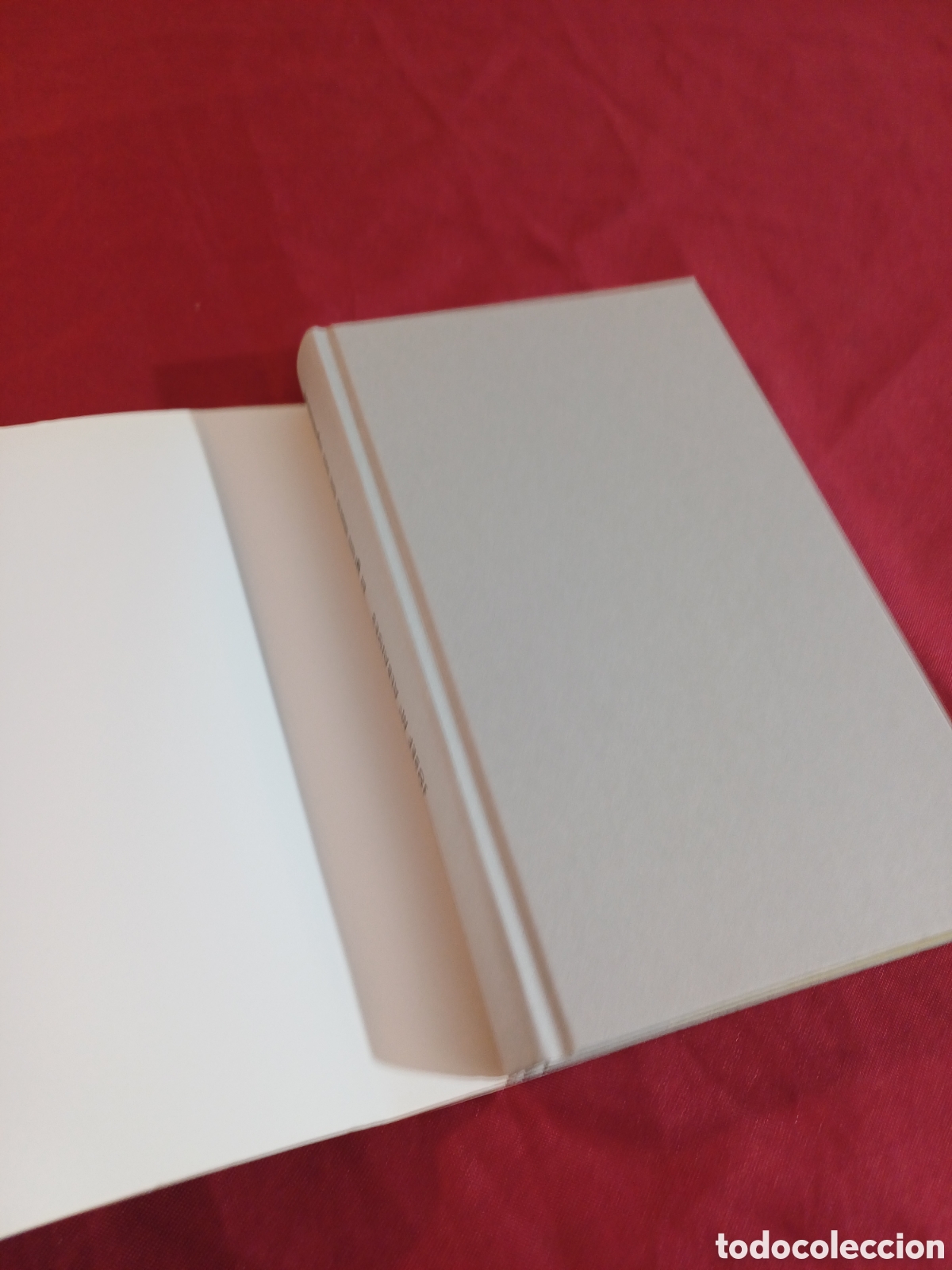 Libros: EL GRAN LIBRO DE LOS APELLIDOS, 1999 - Foto 3
