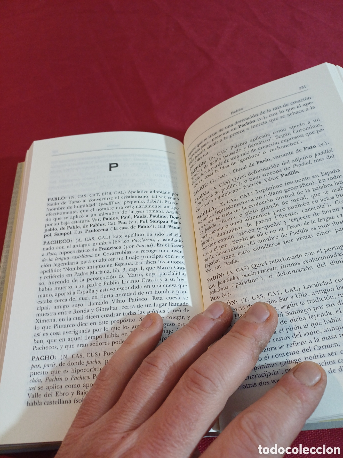 Libros: EL GRAN LIBRO DE LOS APELLIDOS, 1999 - Foto 6
