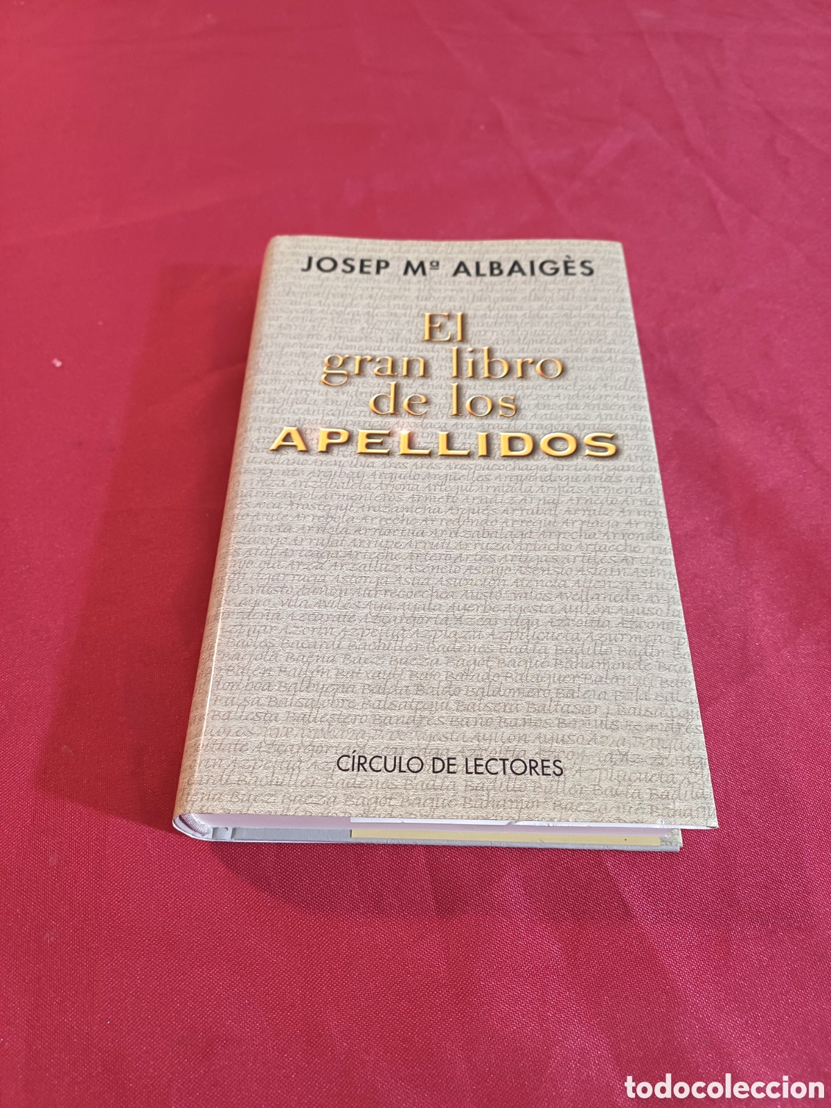 Libros: EL GRAN LIBRO DE LOS APELLIDOS, 1999 - Foto 1