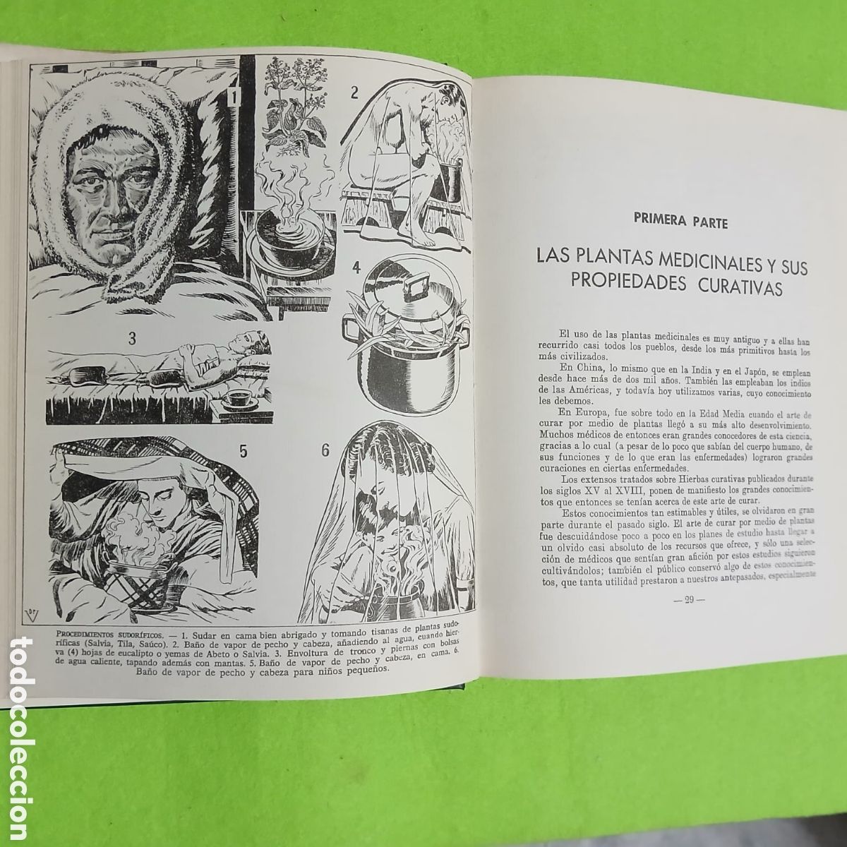Libros: Plantas Medicinales, Dr. VANDER - Foto 2