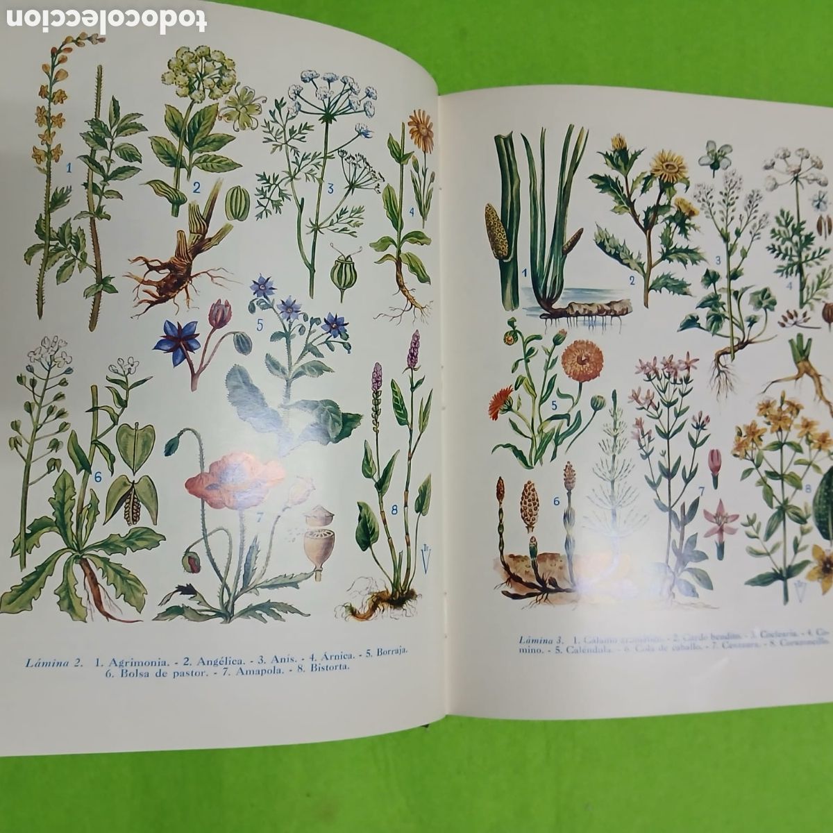Libros: Plantas Medicinales, Dr. VANDER - Foto 5