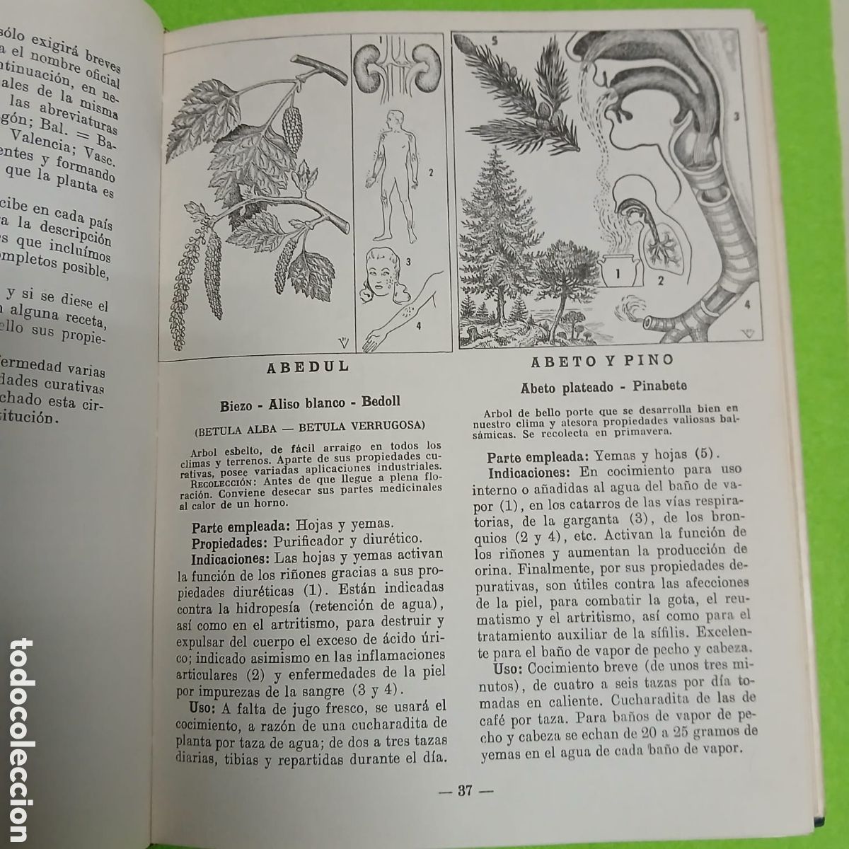 Libros: Plantas Medicinales, Dr. VANDER - Foto 6
