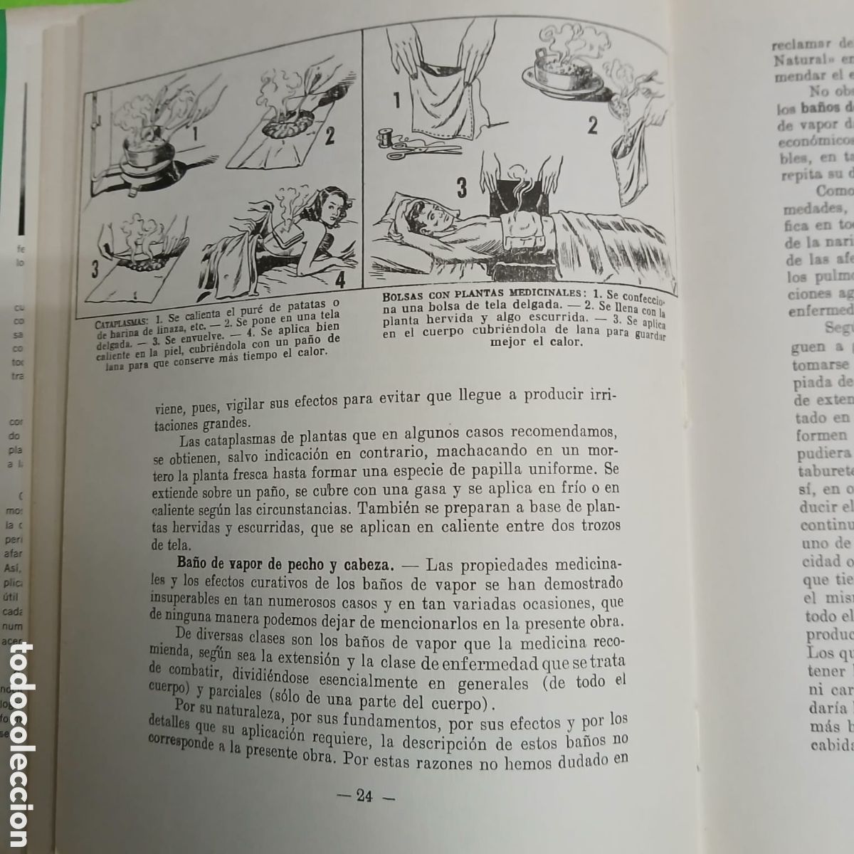 Libros: Plantas Medicinales, Dr. VANDER - Foto 12
