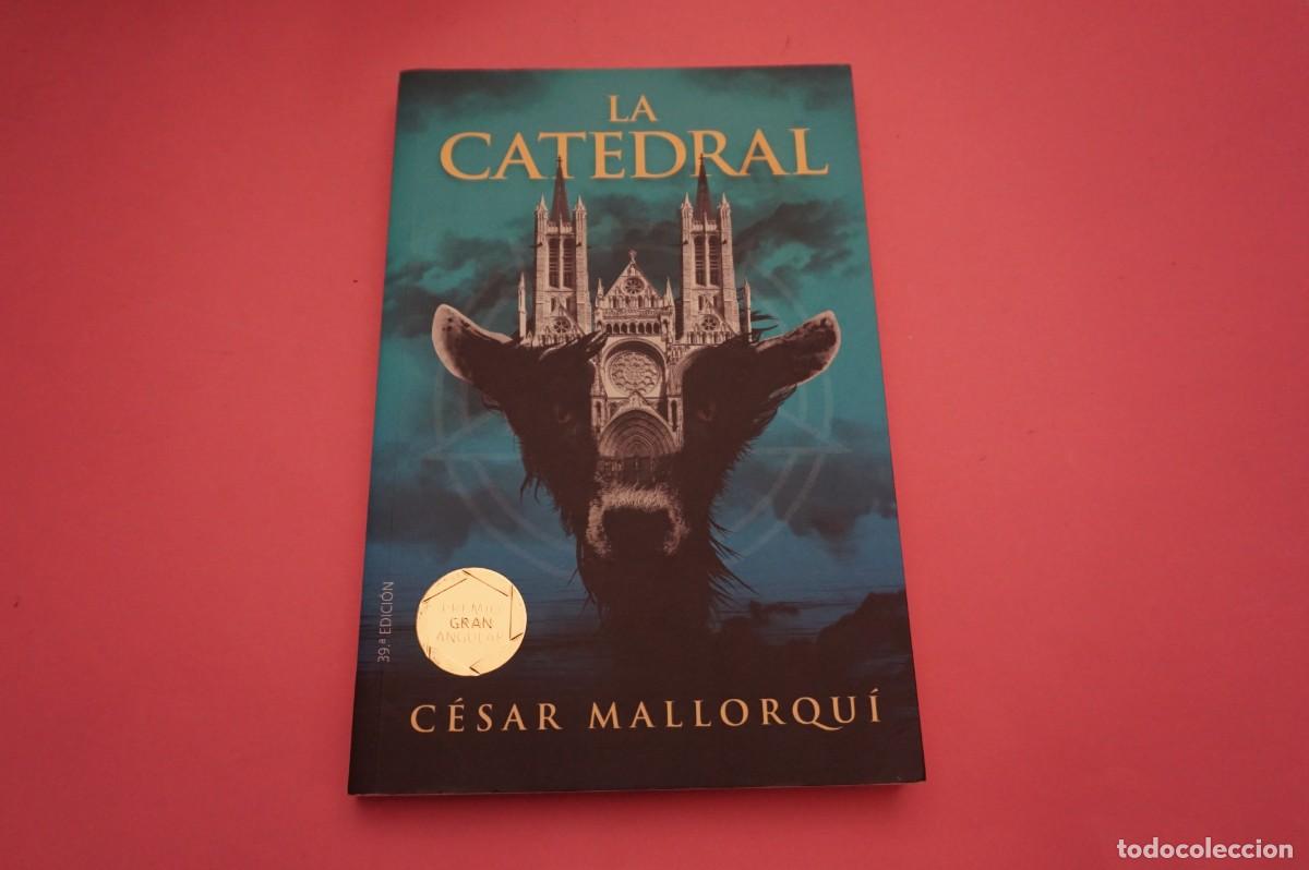 Libros: 20B/ LA CATEDRAL - CESAR MALLORQUI / EDITORIAL SM - Foto 1