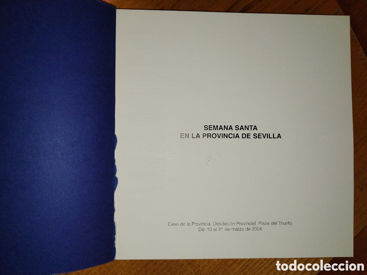 Libros: Semana Santa en la provincia de Sevilla - Foto 1