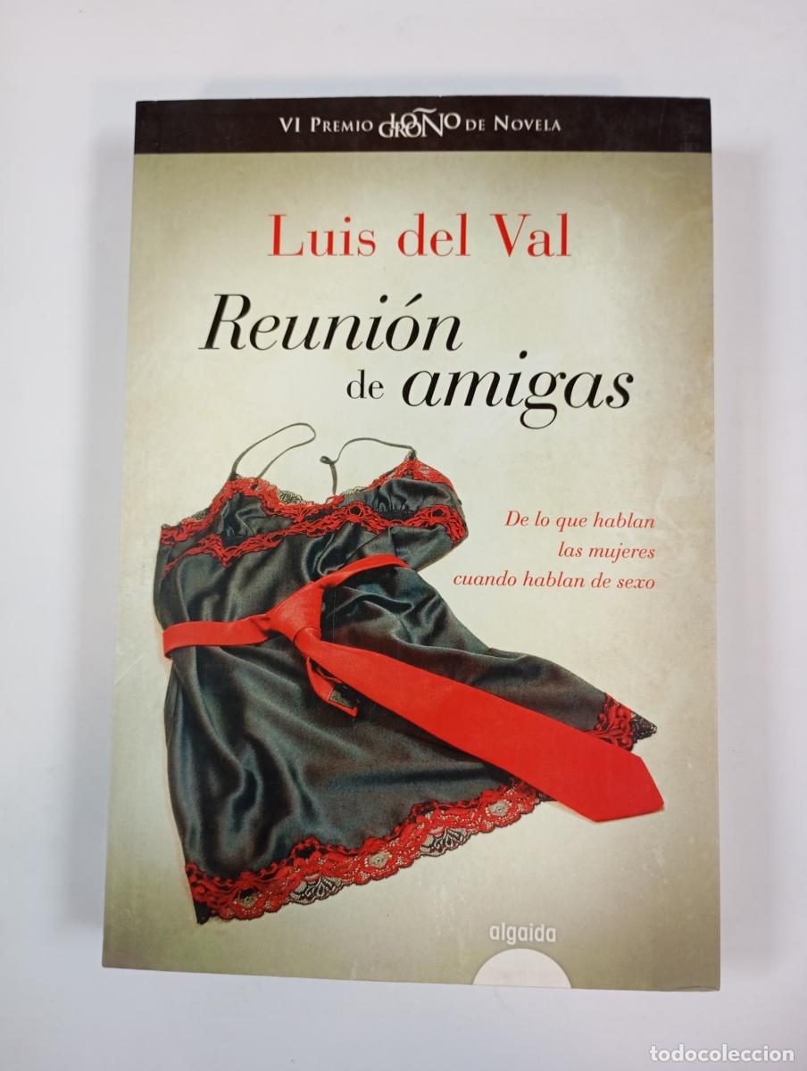 Libros: Reuni&oacute;n de amigas. - Luis del Val. TDK775 - Foto 1