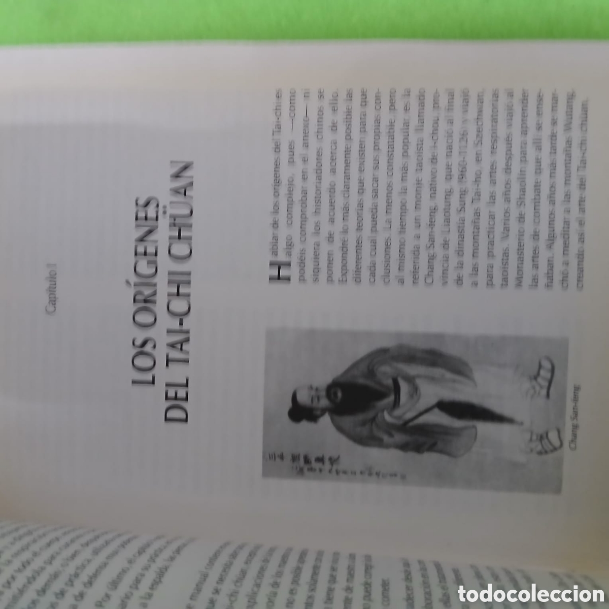 Libros: La t&eacute;cnica del taichi - Foto 4