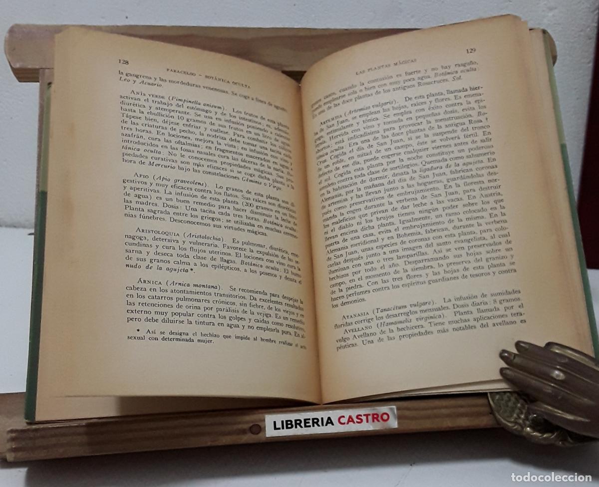 Libros: Las plantas m&aacute;gicas. Bot&aacute;nica oculta - Paracelso. - Foto 2
