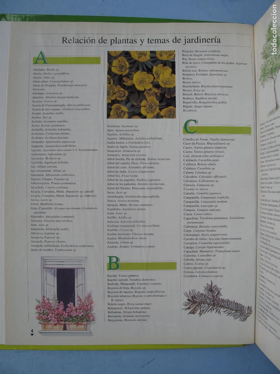 Libros: EL LIBRO DE ORO DE LAS PLANTAS Y LOS JARDINES.- EDICIONES NOBEL. - Foto 2