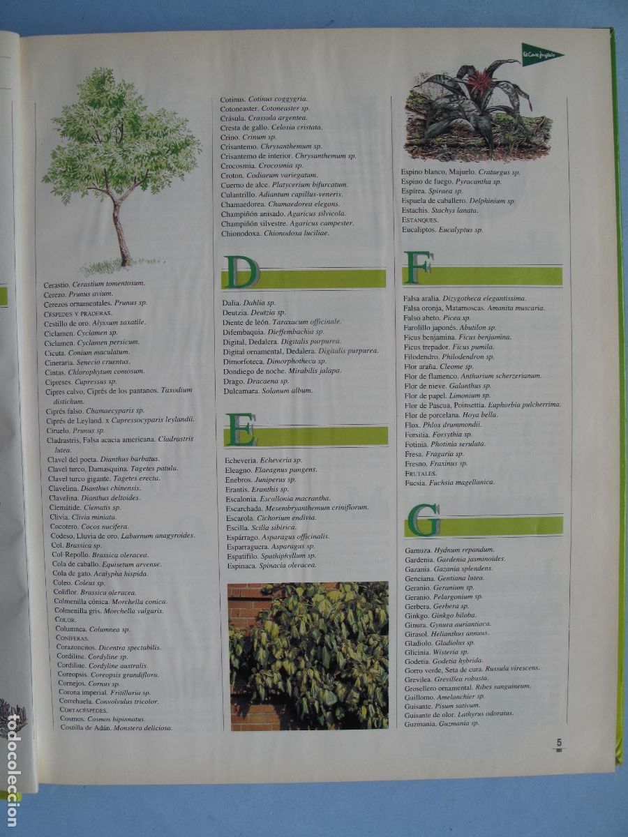 Libros: EL LIBRO DE ORO DE LAS PLANTAS Y LOS JARDINES.- EDICIONES NOBEL. - Foto 3