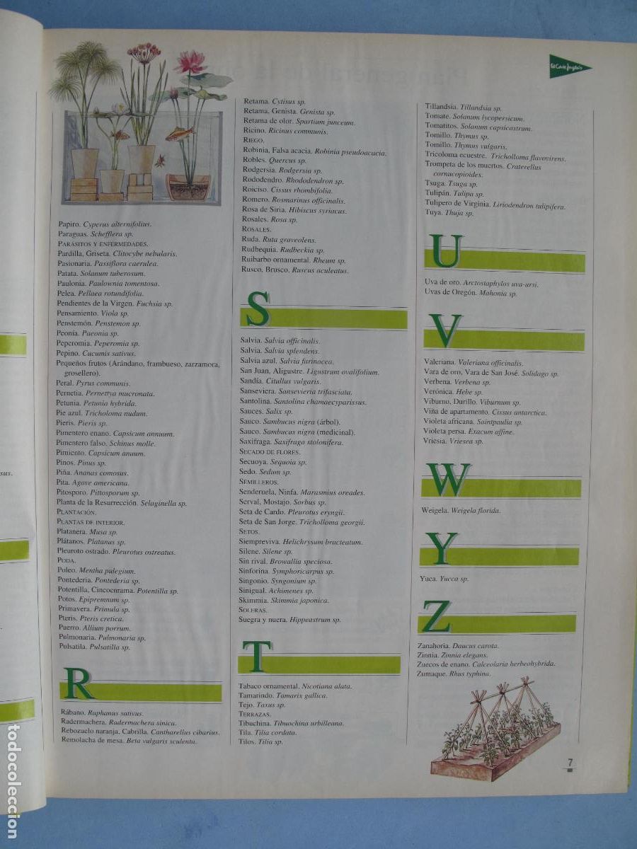 Libros: EL LIBRO DE ORO DE LAS PLANTAS Y LOS JARDINES.- EDICIONES NOBEL. - Foto 5