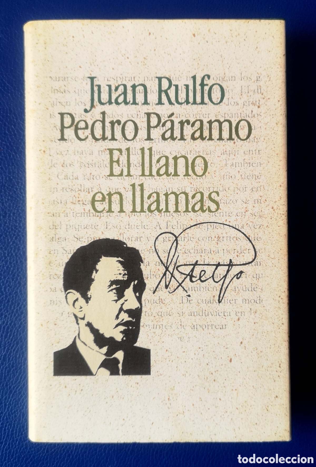 Libros: EL LLANO EN LLAMAS - JUAN RULFO - Foto 1