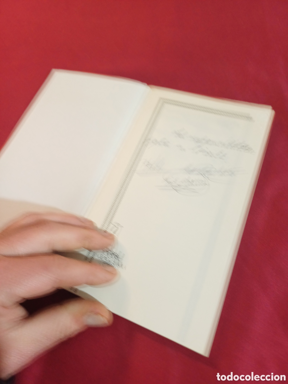 Libros: LIBRO, MI AMIGO LUKI-LIVE, 1987 - Foto 4