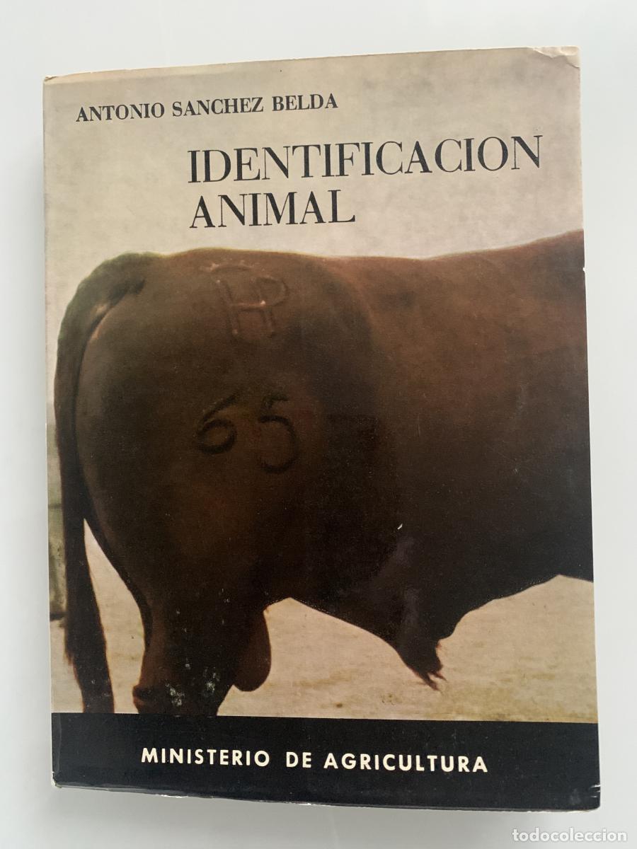 Libros: IDENTIFICACI&Oacute;N ANIMAL - Antonio S&aacute;nchez Belda - Foto 1