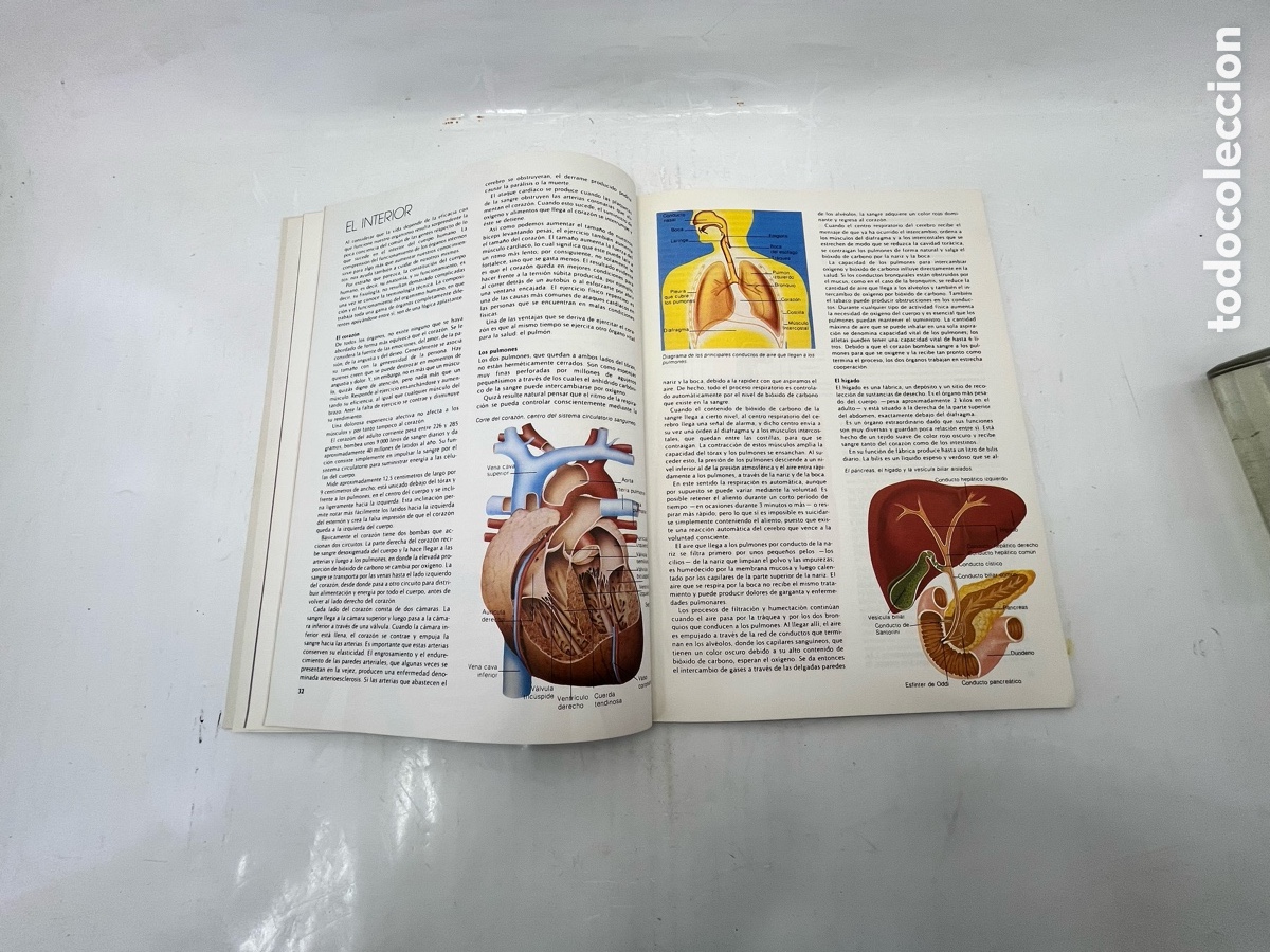 Libros: TU CUERPO - editorial hmb sa - 1980 - Foto 7