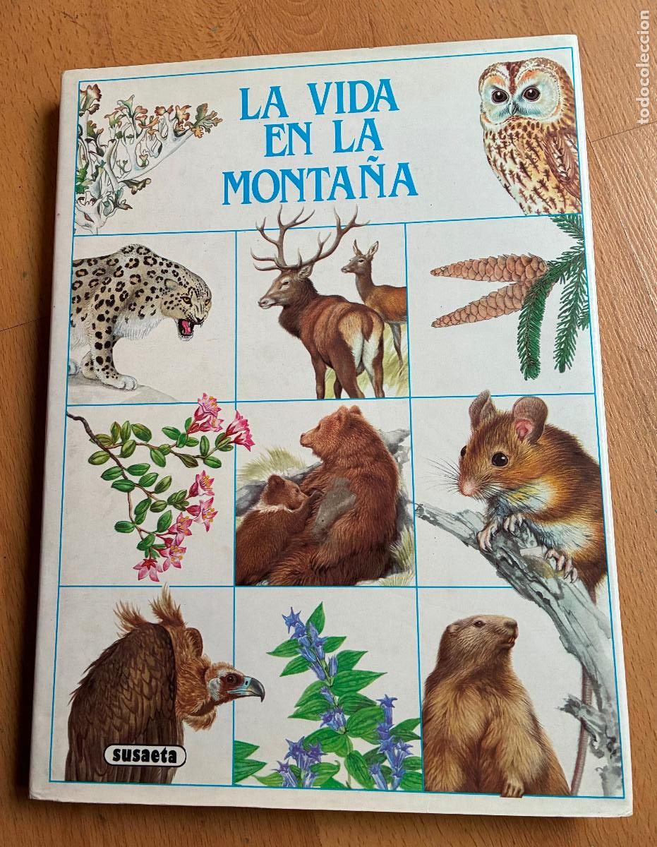 Libros: LA VIDA EN LA MONTA&Ntilde;A, Susaeta - Foto 1