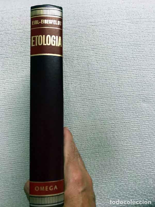 books: Etolog&iacute;a. Introducci&oacute;n al estudio comparado del comportamiento - Iren&acirc;us Eibl-Eibesfeldt