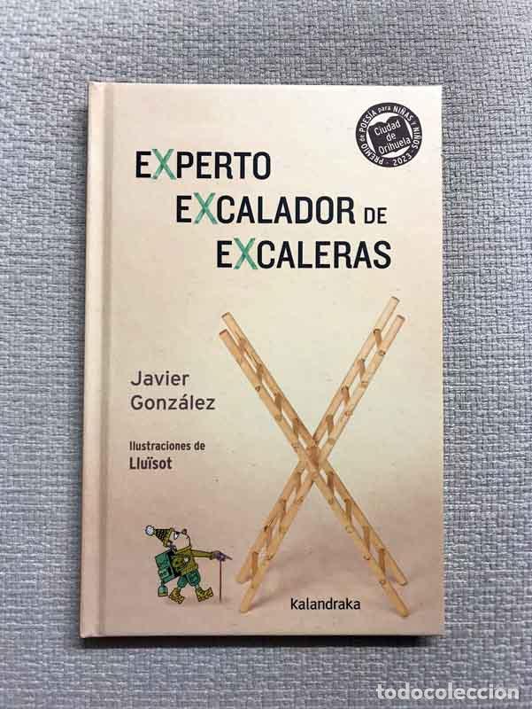Libros: Experto excalador de excaleras - Javier Gonz&aacute;lez - Foto 1