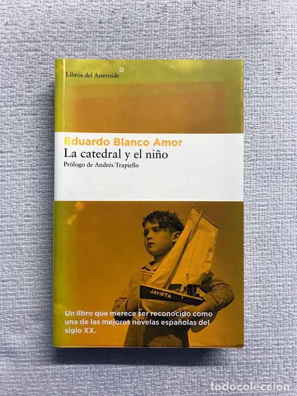 Libros: La catedral y el ni&ntilde;o - Eduardo Blanco Amor - Foto 1