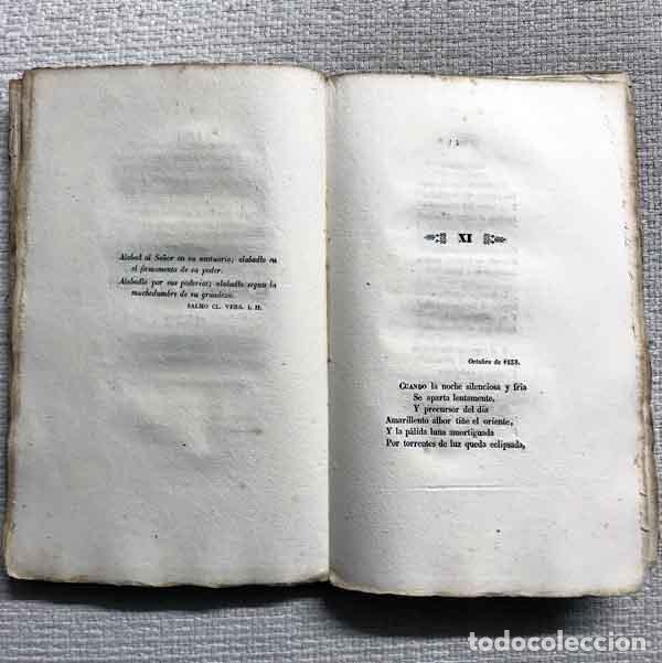 Libros: Poes&iacute;as - Josefa Masan&eacute;s - Foto 3