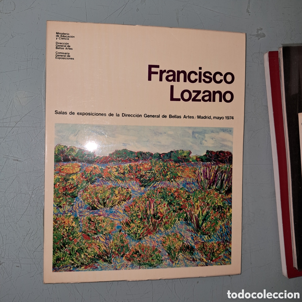 Libros: Francisco Lozano,Bellas Artes de Madrid - Foto 1