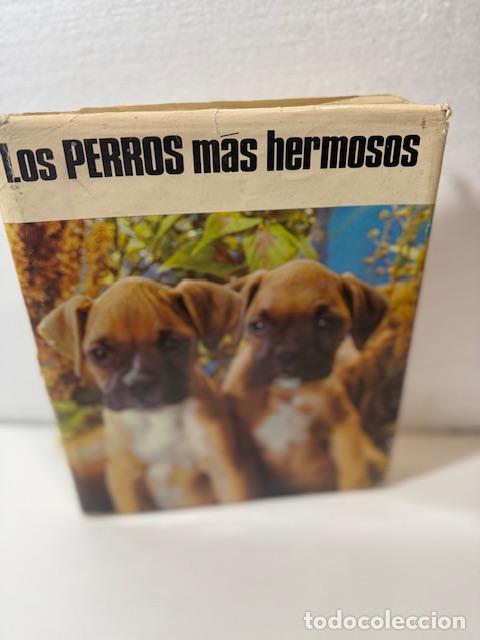 Libros: LOS PERROS MAS HERMOSOS ALFRED BARBOU - Foto 1