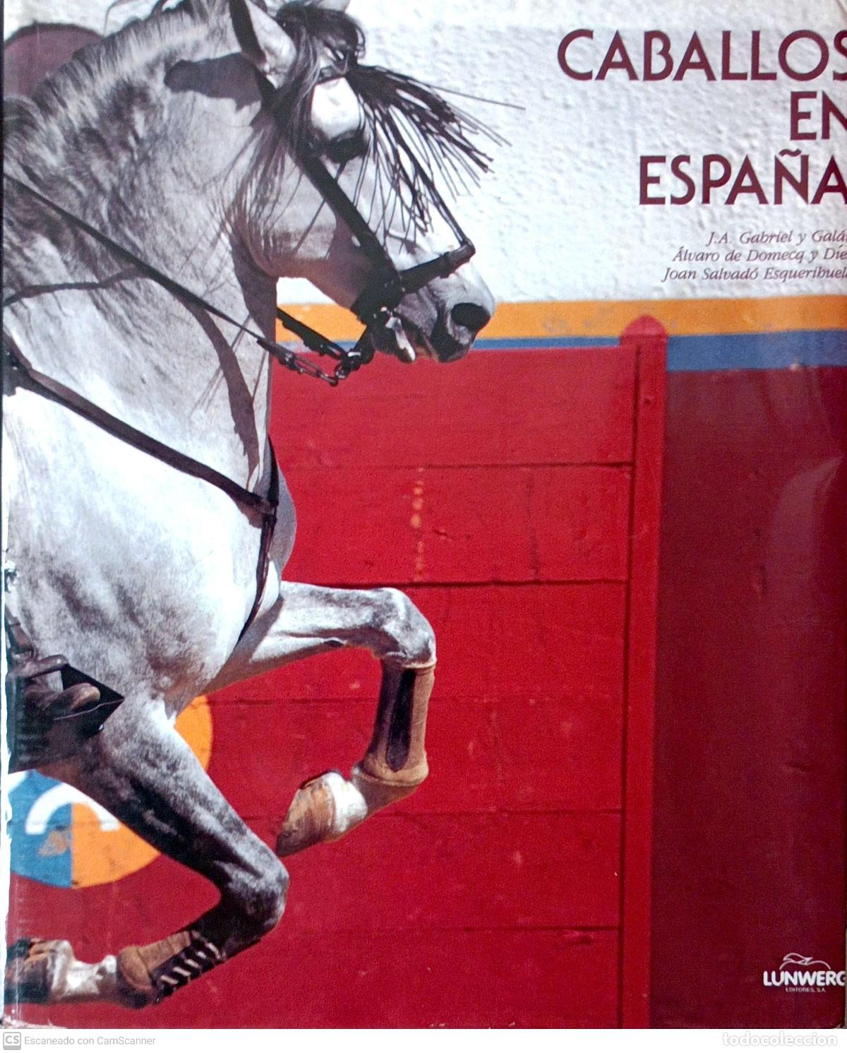 Libros: Caballos en Espa&ntilde;a - Varios - Foto 1