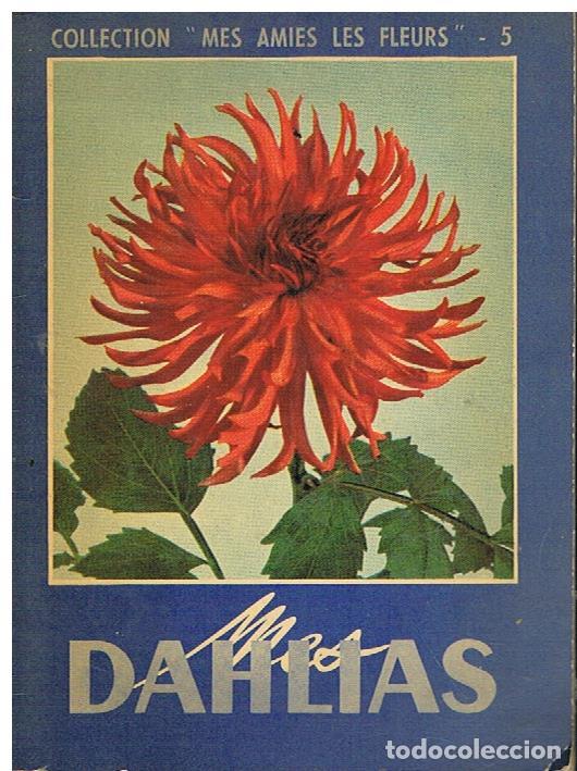 Libros: Mes Dahlias - COLLECTIF - Foto 1