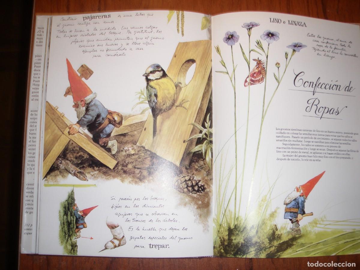 Libros: LOS GNOMOS editorial MONTENA - Foto 3