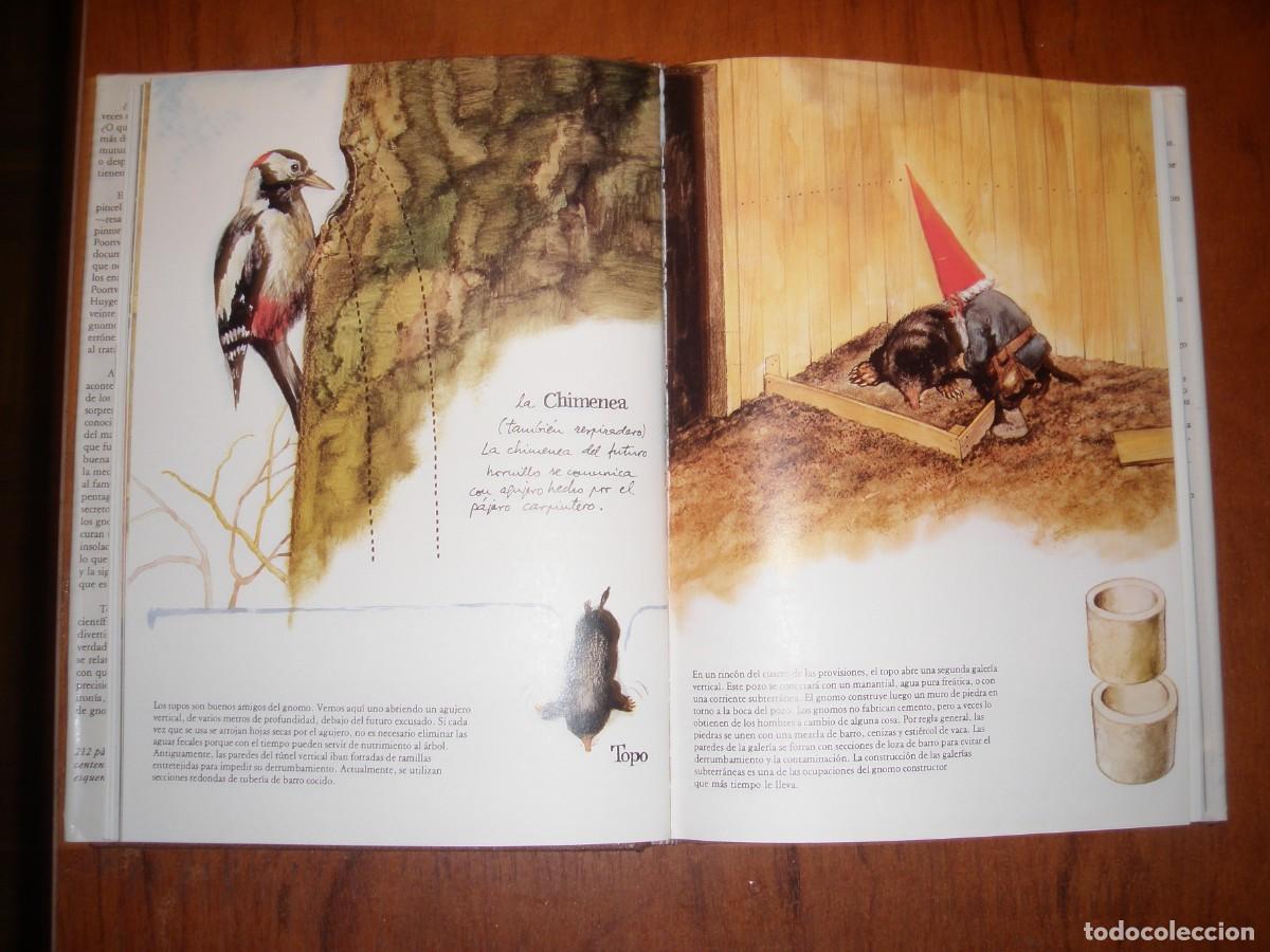 Libros: LOS GNOMOS editorial MONTENA - Foto 4