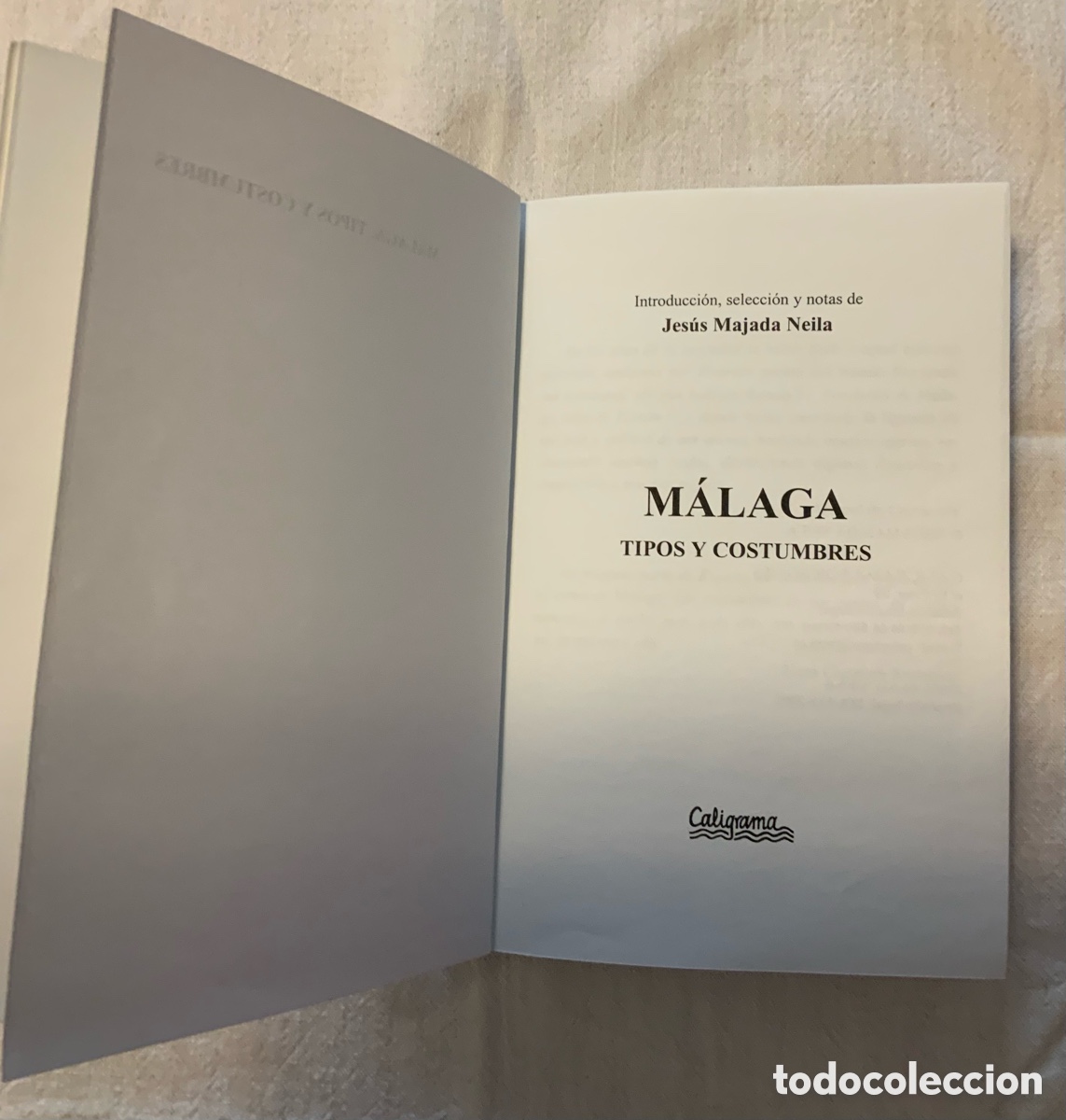 Libros: M&Aacute;LAGA, Tipos y costumbres. Jes&uacute;s Majada NEILA - Foto 3