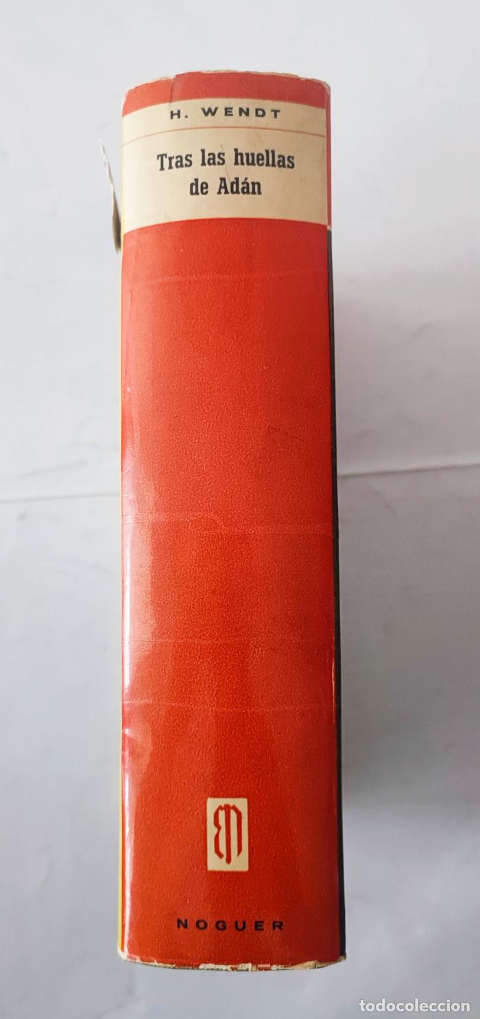 Libros: TRAS LAS HUELLAS DE ADAN - Herbert Wendt - Foto 2