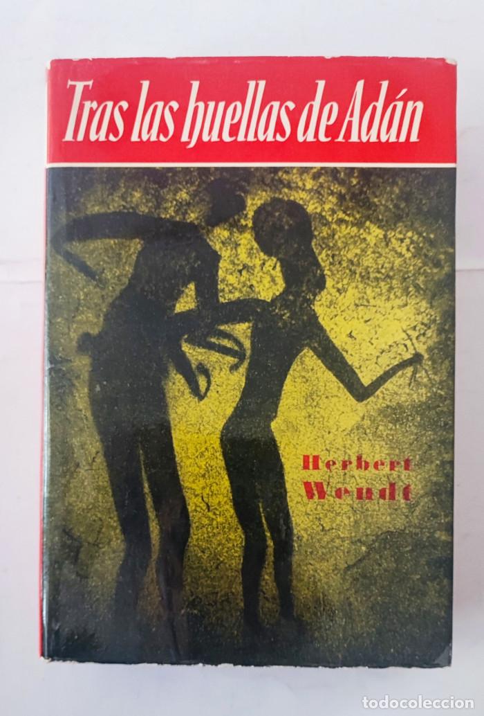 Libros: TRAS LAS HUELLAS DE ADAN - Herbert Wendt - Foto 1